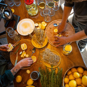 january-10-organic-farm-day-tour-natural-herbal-tea-making